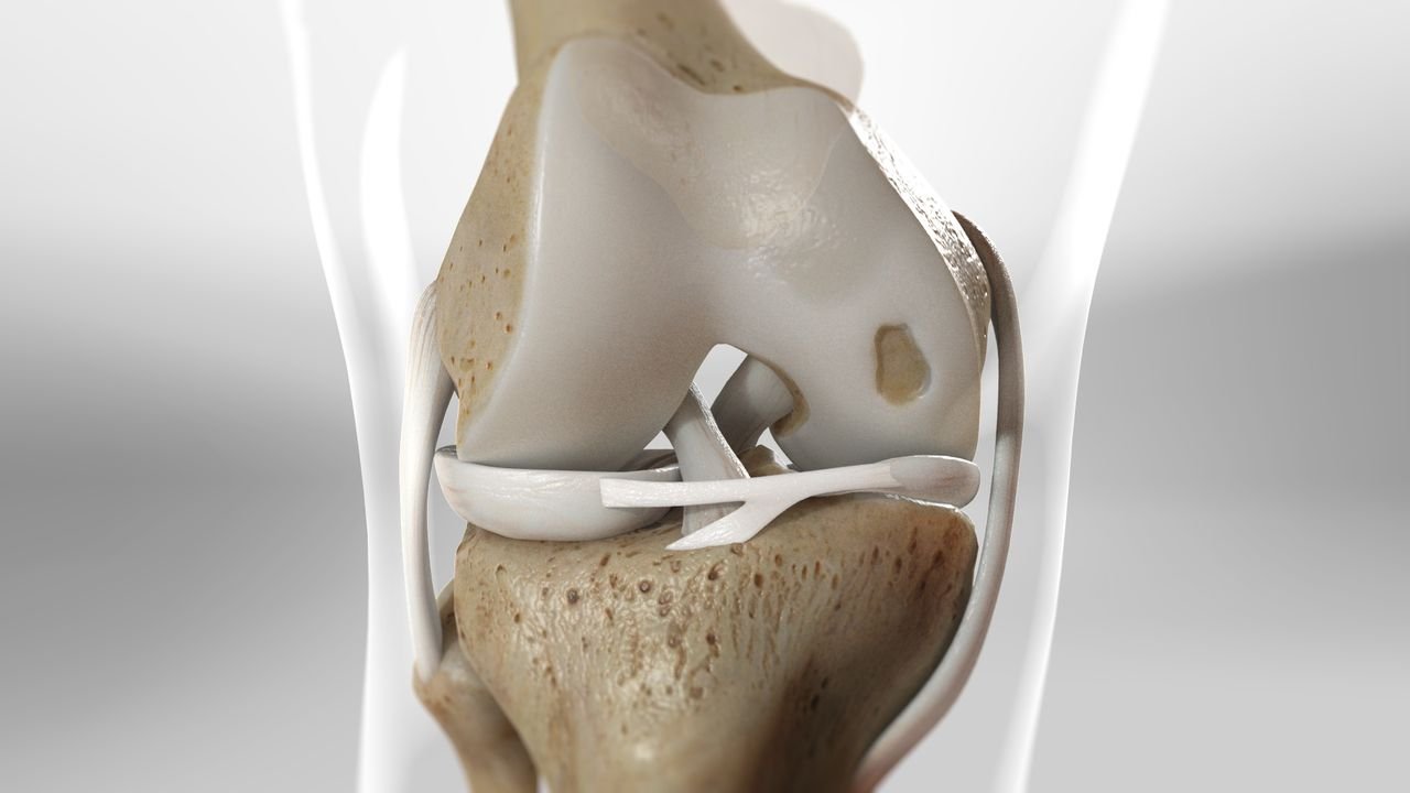 Best ligament surgeon in bilaspur chhattisgarh Chhattisgarh