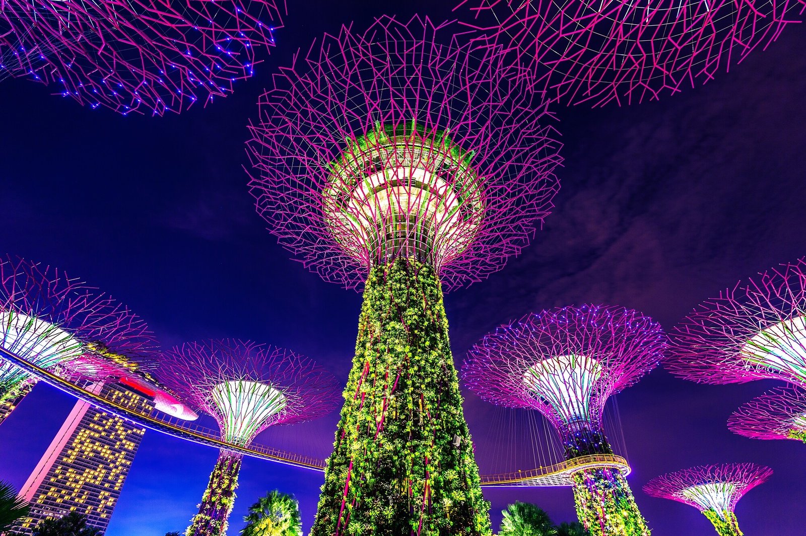 Singapore Citizenship application