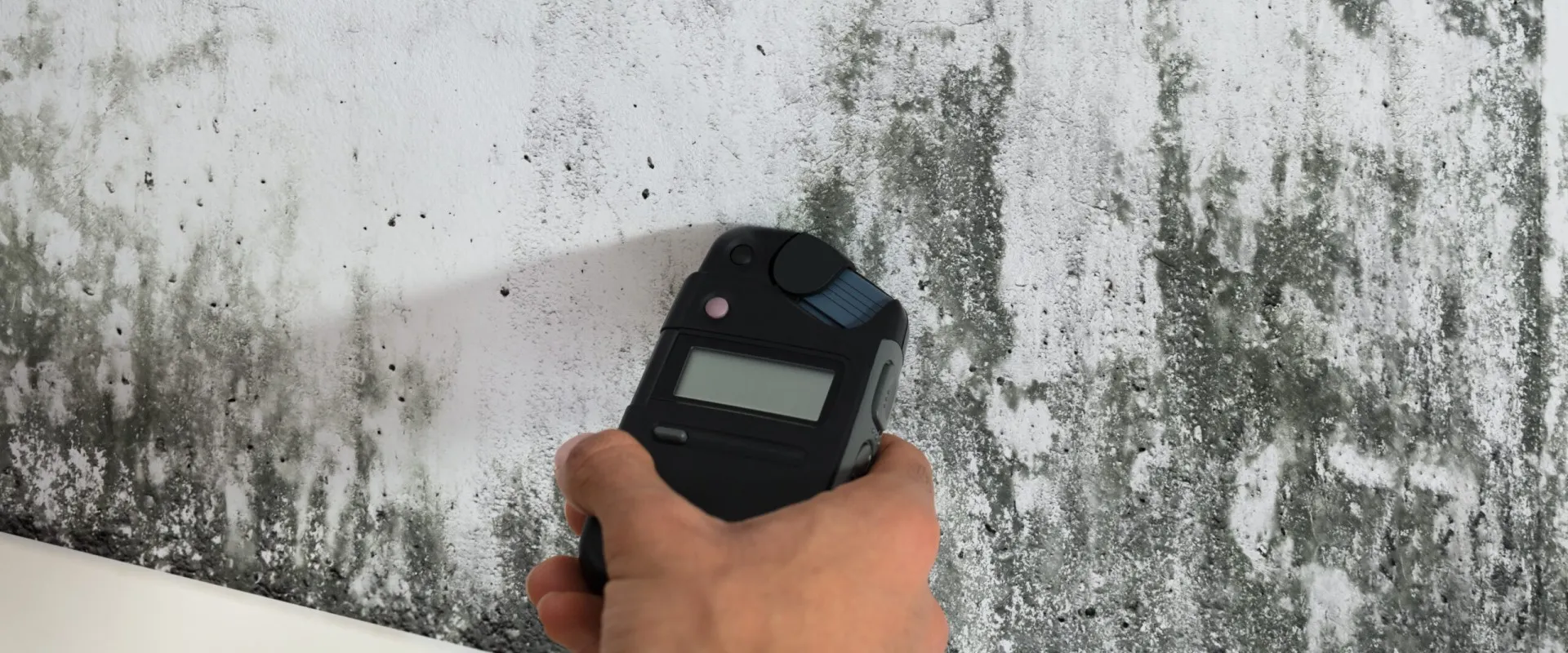 Lead Risk Assessments