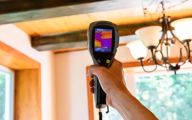 Indoor Air Quality Test for Mold
