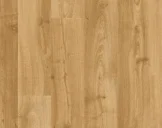 busi_image