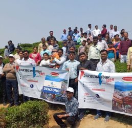 trad_image