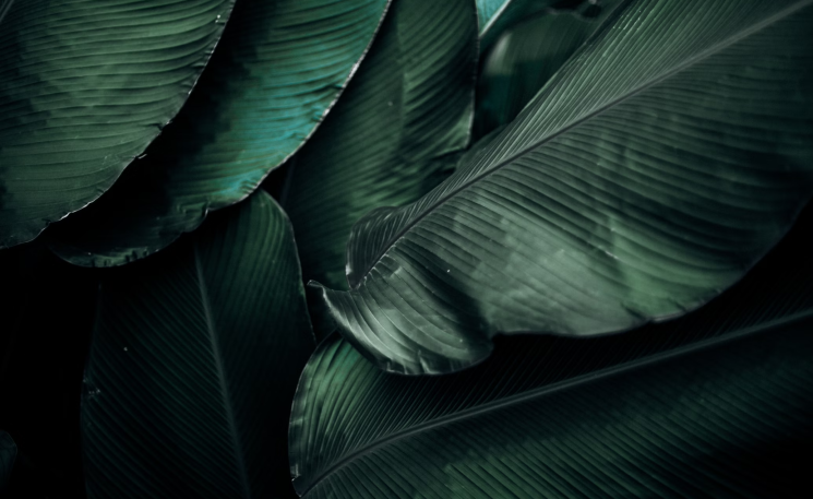post_image
