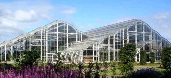 home_grdn_image